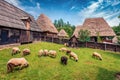 Flock of sheep in highland village. Stunning rural landscape in Transylvania, Romania,