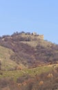 Flock of sheep on the hill below the ruins of old city