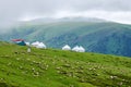 The flock of sheep and mongolian yurts in Valley grassland Royalty Free Stock Photo