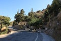 Sheep on road. Crete, Greece. Royalty Free Stock Photo