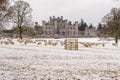 Flock of sheep outside Lowther Castle Royalty Free Stock Photo