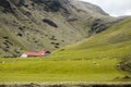 A flock of sheep resting and eating on a grassy hill side in Southern Iceland Royalty Free Stock Photo