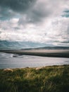 Flock of sheep resting in a grassy meadow beside a tranquil lake in Northern Iceland Royalty Free Stock Photo