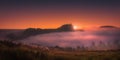 Flock of sheep in Saibi mountain at sunrise