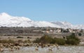 Flock of sheep in Sirente-Velino Park, Italy