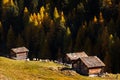 Flock of sheep and three traditional wooden barnin autumn near Matterhorn , Switzerland