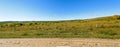 A flock of sheep on The vast grassland Royalty Free Stock Photo