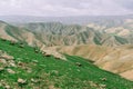 Flock of sheep walking across a rocky grass field on a hill under a cloudy sky. Royalty Free Stock Photo