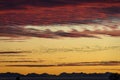 Flock of silhouetted migratory snow geese flying against a yellow sunset sky, cloudy winter sky lit in orange, pink, purple, and y