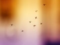 Flock of small harmful and dangerous mosquitoes flying in the a