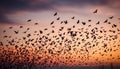 Flock of starlings in murmuration, surreal patterns in the sky, magical twilight atmosphere, artistic composition 2 Royalty Free Stock Photo