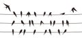 Flock swallows on the electric wire, vector illustration