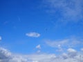 Flock of three Canada Geese flying in formation across a blue sky Royalty Free Stock Photo