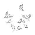 Flock of urban wild pigeons pecks seeds. Set flying and sitting birds line art style character vector black white