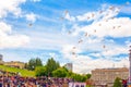 A flock of white doves