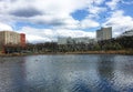 Flock of white gulls fly over the lake in the city park Royalty Free Stock Photo