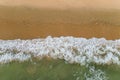 a flock of white small birds on the seashore on the sand view fron top drone in Goa Royalty Free Stock Photo