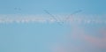 Flock of wild birds flying in a wedge against blue sky with white and pink clouds in sunset