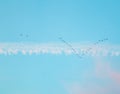 Flock of wild birds flying in a wedge against blue sky with white and pink clouds in sunset Royalty Free Stock Photo