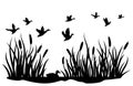 A flock of wild ducks flying over a pond with reeds. Black and white illustration of ducks flying over the river. Vector