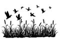 A Flock Of Wild Ducks Flying Over A Pond With Reeds. Black And White Illustration Of Ducks Flying Over The River. Vector