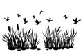 A flock of wild ducks flying over a pond with reeds. Black and white illustration of ducks flying over the river. Vector Royalty Free Stock Photo