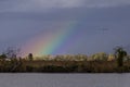 Flocks of birds fly in a sky illuminated by a beautiful rainbow, Lake Massaciuccoli, Tuscany, Italy