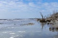 Flocks of gulls and shore birds in water on a sandy beach, bright early morning with blue sky and clouds