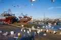 Flocks of seagulls flying over Essaouira fishing harbor, Morocco. Fishing boat docked at the Essaouira port waits for a