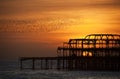 Flocks of starlings over the West Pier, Brighton