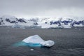 Floes were on the sea  and some rocks were exposed after the snow melted. Royalty Free Stock Photo