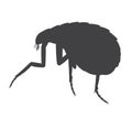 Floh Insect Silhouette