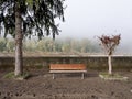 After the flood - bench, trees and mud Royalty Free Stock Photo
