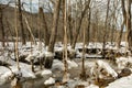 Flood Damage from an Ice Jam Royalty Free Stock Photo