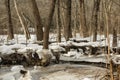 Flood Damage from an Ice Jam Royalty Free Stock Photo