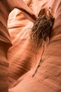 Flood debris caught on arch in narrow slot canyon