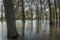 Deventer IJssel Flood Park Worp Royalty Free Stock Photo