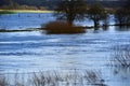 Flood at the Ferry in the Village Westen at the River Aller, Lower Saxony