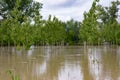 flood flooded fields and houses climate change Royalty Free Stock Photo