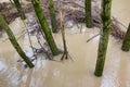 flood flooded fields and houses climate change Royalty Free Stock Photo