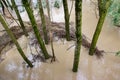 flood flooded fields and houses climate change Royalty Free Stock Photo