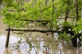 flood flooded fields and houses climate change Royalty Free Stock Photo