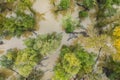 Flood in forest with green and yellow treetops from drone
