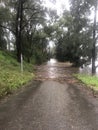 Flood: Georges River