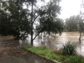Flood: Georges River