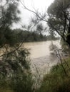 Flood: Georges River