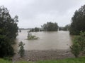 Flood: Georges River