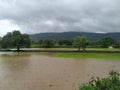 Flood, land submerged under rain water Royalty Free Stock Photo