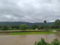 Flood, land submerged under rain water during monsoon, paddy farm Royalty Free Stock Photo