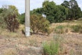 Flood Level indicated in white paint on a concrete power pole